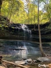 Stillhouse Hollow Falls State Natural Area