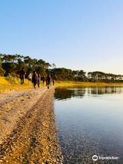 Laguna Garzón Uruguay