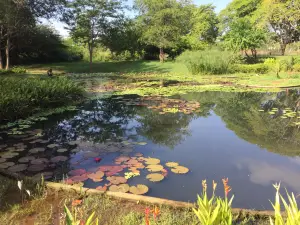 Jardin Botanico de Maracaibo