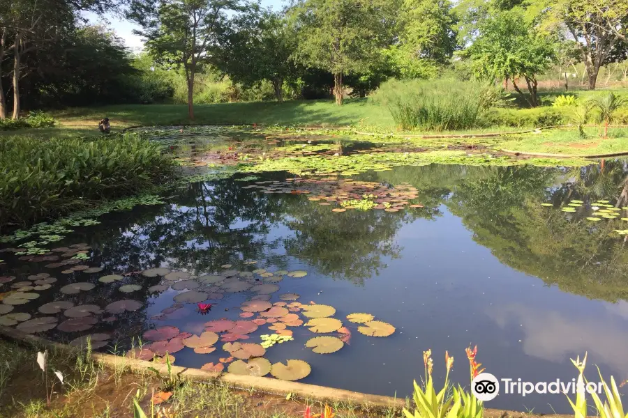 Jardin Botanico de Maracaibo