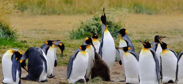 XII Region of Magallanes and Chilean Antarctica, Chile Otelleri