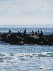 Ft Pierce Inlet State Park