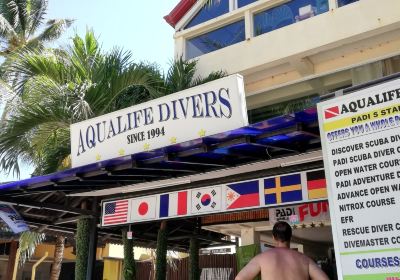 Aqualife Divers Academy