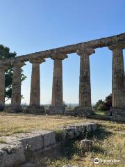 Tempio di Hera / Tavole Palatine