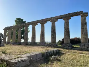 Temple of Hera / Palatine Tables