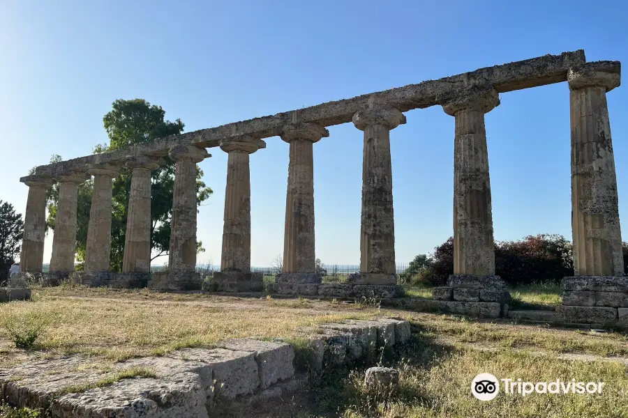 Temple of Hera / Palatine Tables