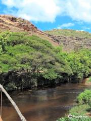 Kiki a Ola (Menehune Ditch)