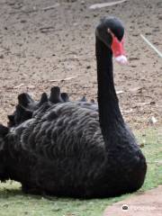 Bunbury Wildlife Park