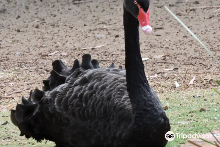 Bunbury Wildlife Park