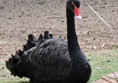 Bunbury Wildlife Park