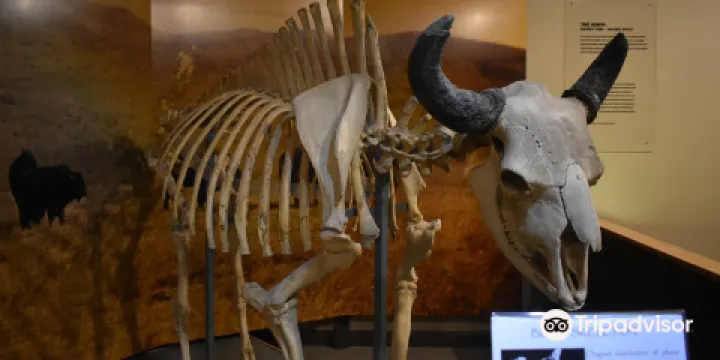 Mitchell Prehistoric Indian Village