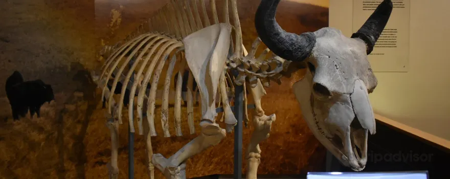 The Mitchell Indigenous Archaeological Site & Museum