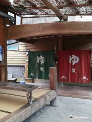 Osarunoyu (Monkey Onsen)