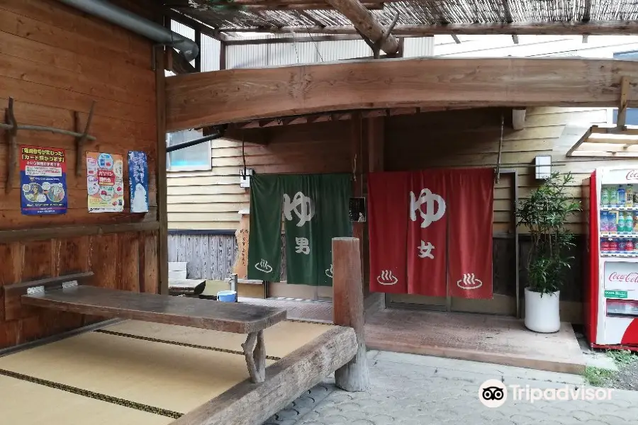 Osarunoyu (Monkey Onsen)