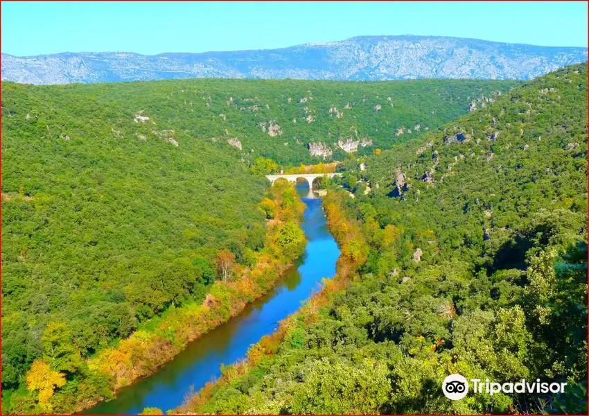 The canoe Mills Valley