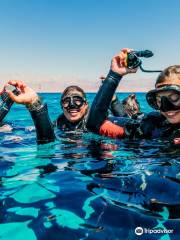 Manta Isrotel Diving Center