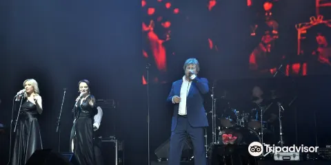 Barvikha Luxury Village Concert Hall