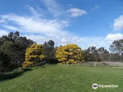 Yarra Flats Park