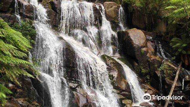 Toorongo Falls Reserve