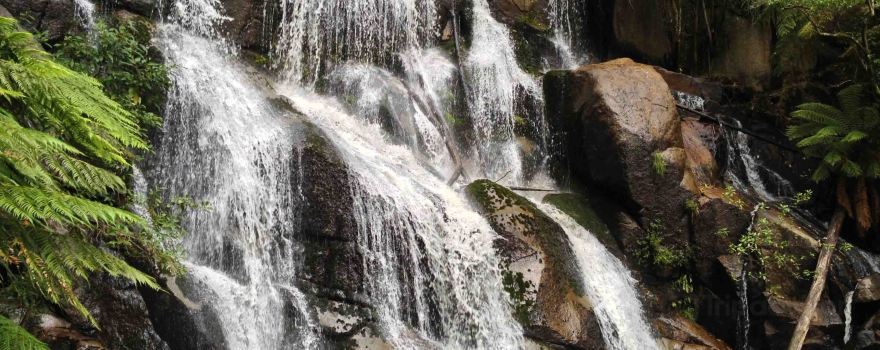 Toorongo Falls Reserve