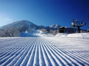 Snow Resort The Cupid of Romance