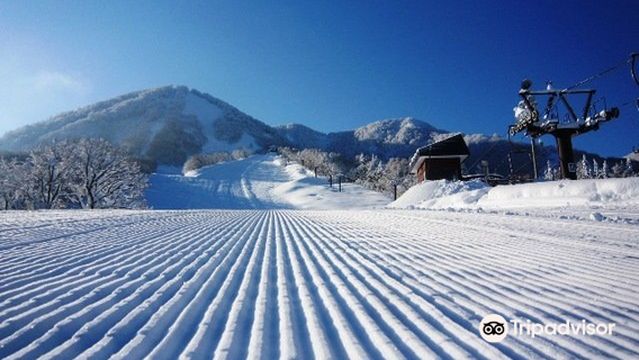 Snow Resort The Cupid of Romance