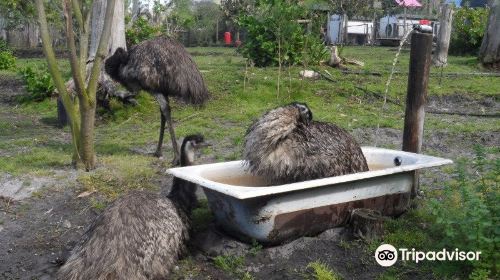 Rocklands Petting Farm