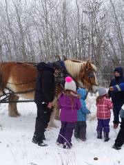 Finnegan Farms