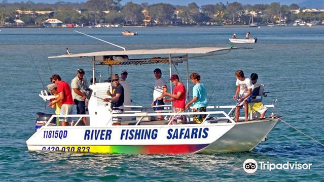 Noosa River Fishing Safaris
