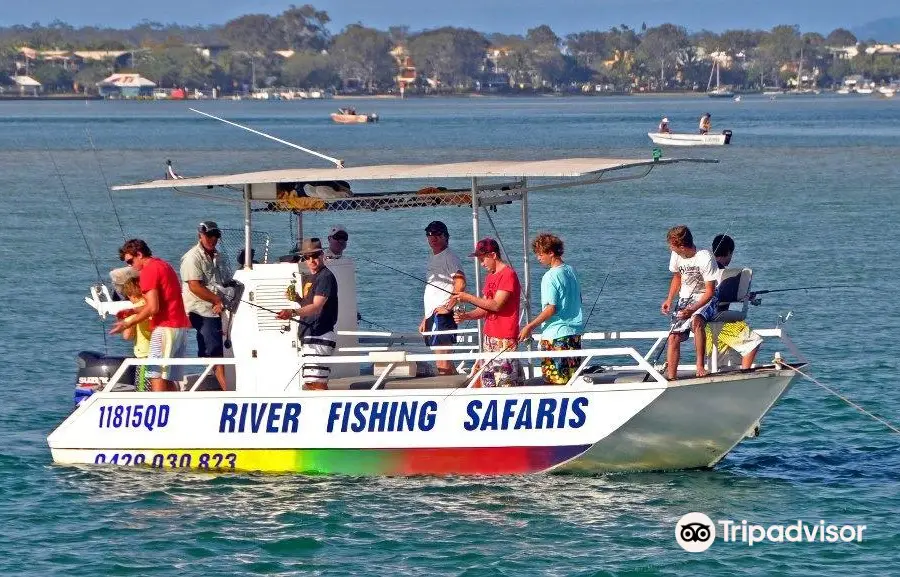 Noosa River Fishing Safaris