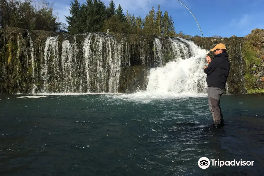 Go Fishing Iceland