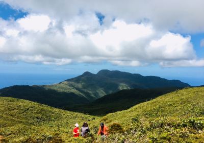 迪納加特群島