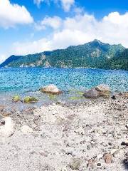 Soufriere Scottshead Marine Reserve