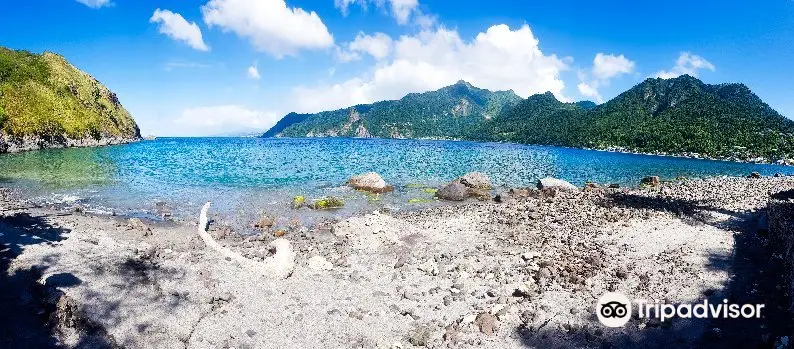 Soufriere Scottshead Marine Reserve