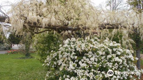 Jardin Botanique de Tourcoing