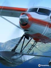 Taku Glacier Lodge & Wings Airways