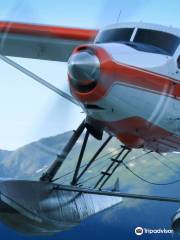 Wings Airways & the Taku Glacier Lodge