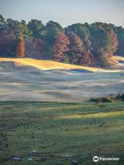 Towne Lake Hills Golf Club