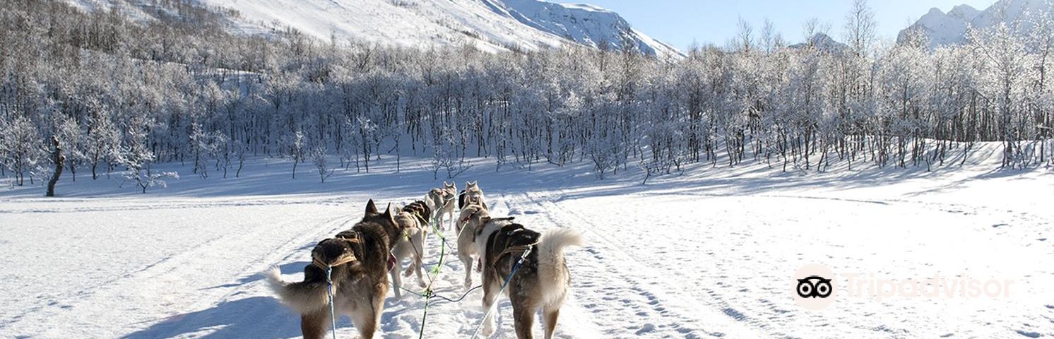 BalsfjordTagestouren