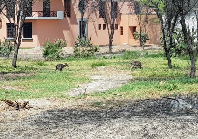 Universidad de Piura