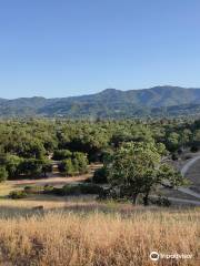 Guadalupe Oak Grove Park