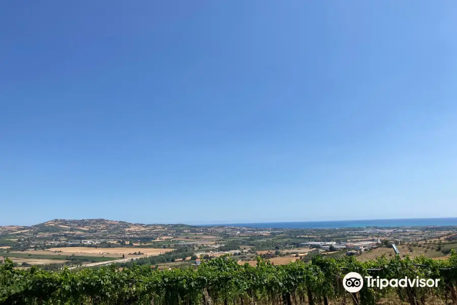 Azienda Agricola Centorame