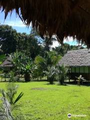 Amazon Garden Lodge