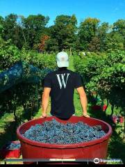 WAYVINE winery & vineyard