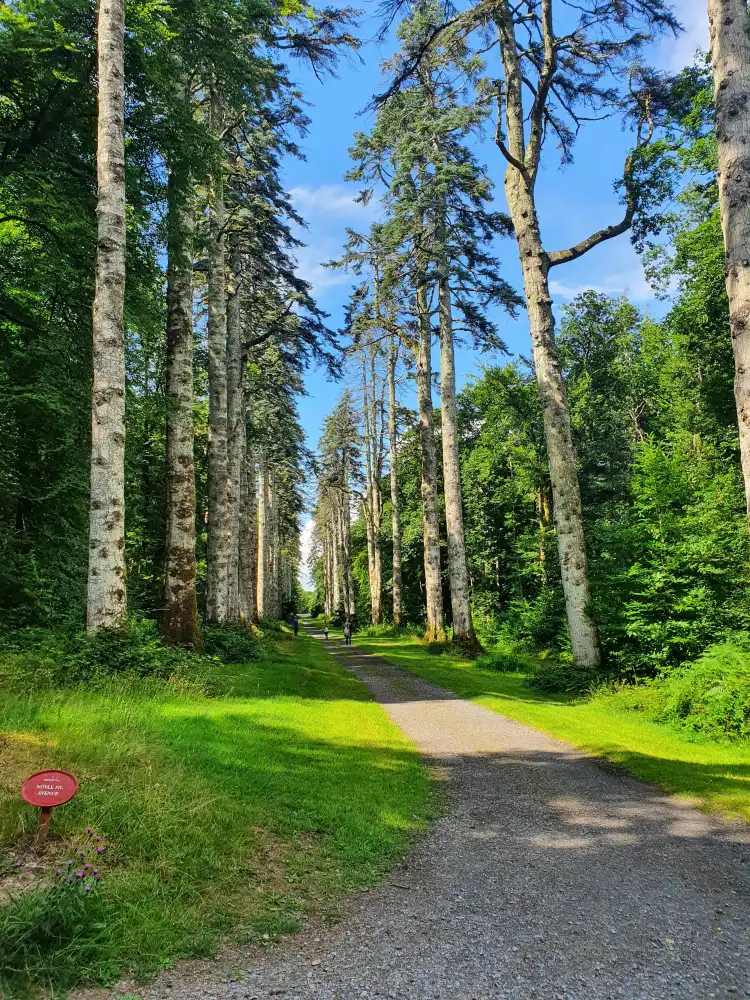 Hoteles cerca de Nore Valley Walk Trailhead