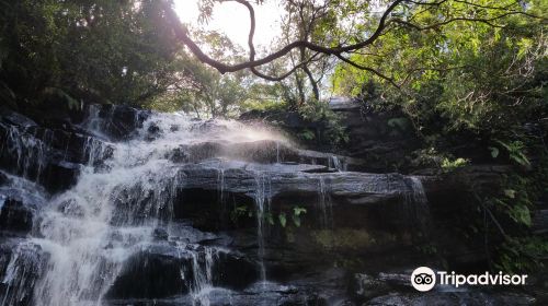 Somersby Falls Picnic Grounds