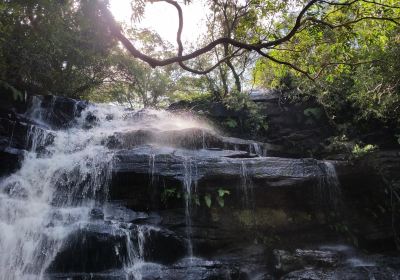 Somersby Falls Picnic Grounds