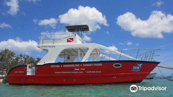 The Dive Academy Las Terrenas