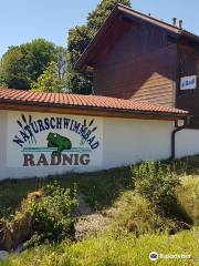 Naturschwimmbad Radnig