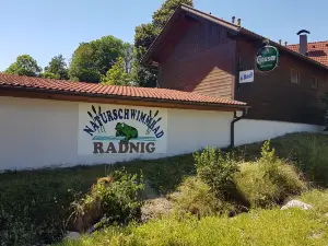 Naturschwimmbad Radnig